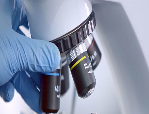 Khả năng R&D hàng đầu